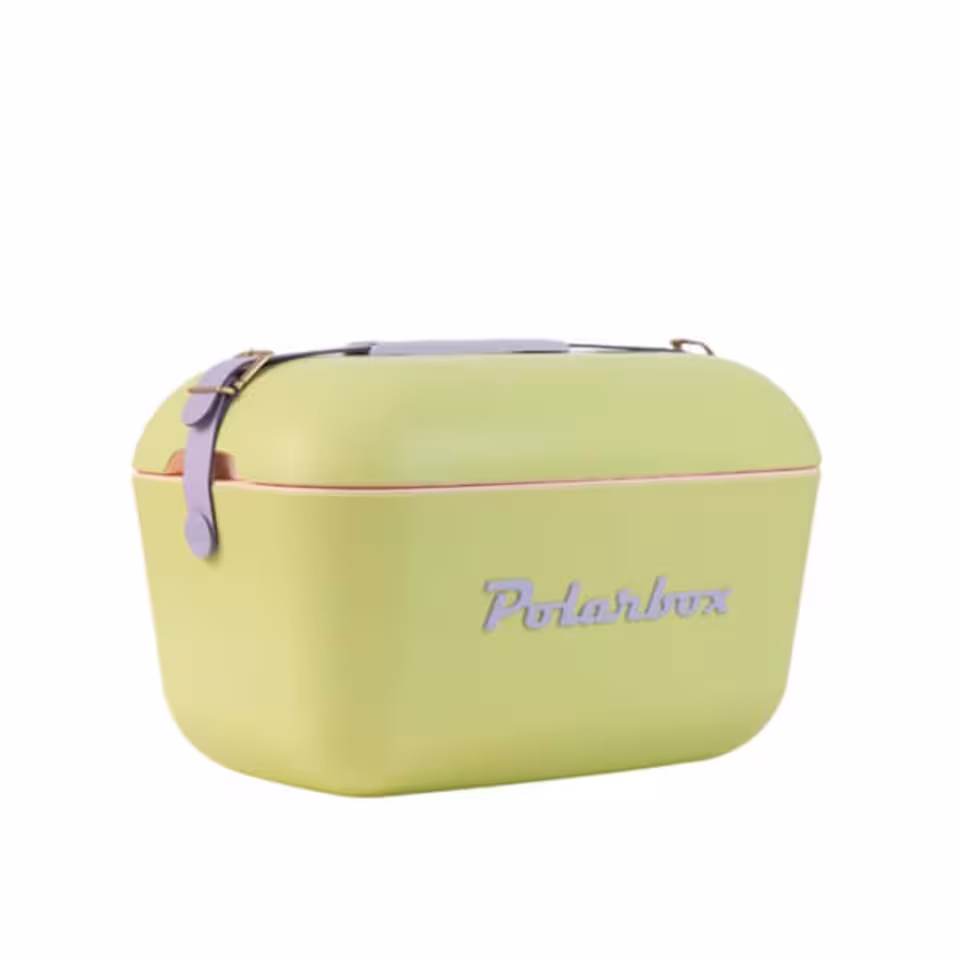 PolarBox Retro Cooler – Lime & Purple 20LT